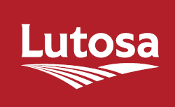 Lutosa